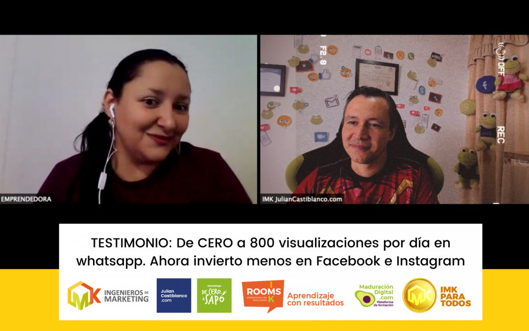 TESTIMONIO: De CERO a 800 visualizaciones por día en whatsapp. Ahora invierto menos en Facebook e Instagram