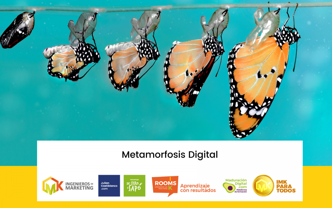 Metamorfosis Digital