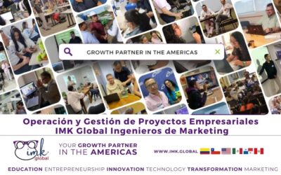Operación y gestión de proyectos empresariales, IMK Global Ingenieros de Marketing