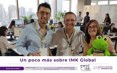 Un poco más sobre IMK Global